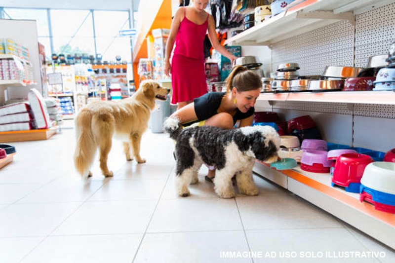 Arredamenti per negozi animali